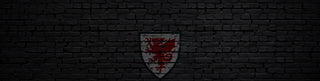 Wales Mens Polos