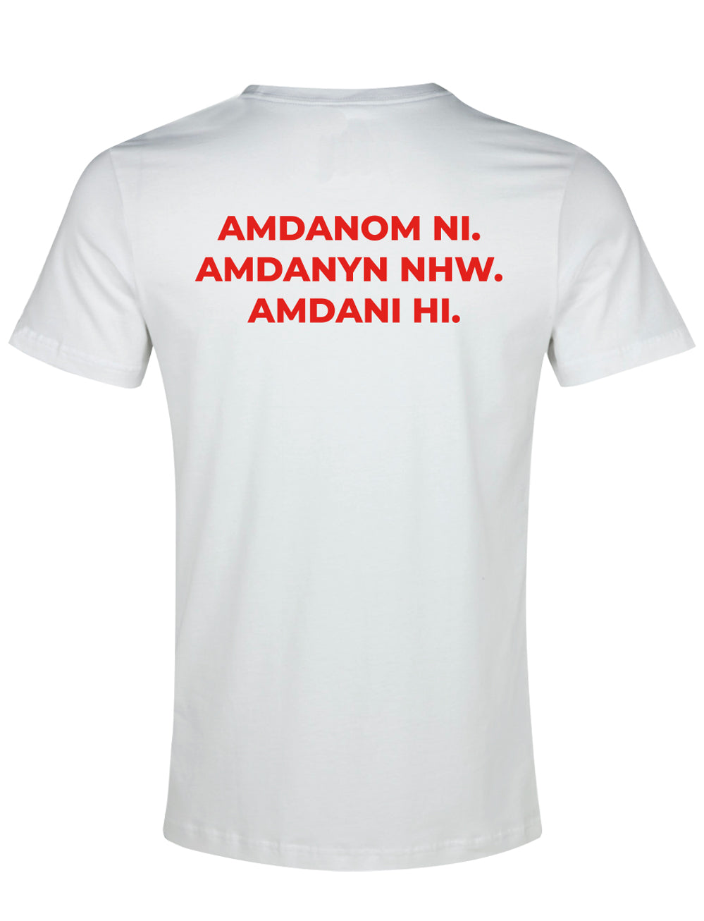 Official Team Wales Event T-Shirt - White - The World Football Store