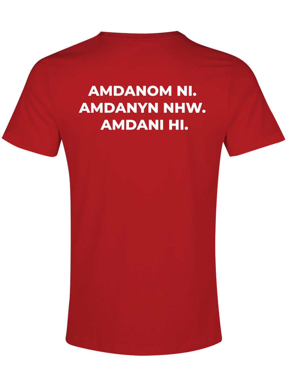 Official Team Wales Event T-Shirt - Red - The World Football Store