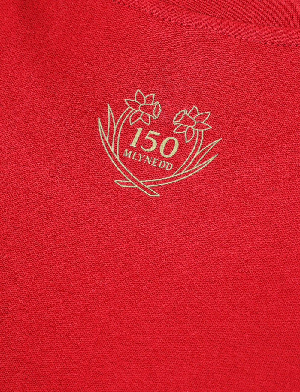 Official Team Wales 150th Anniversary T-Shirt - Red - The World Football Store