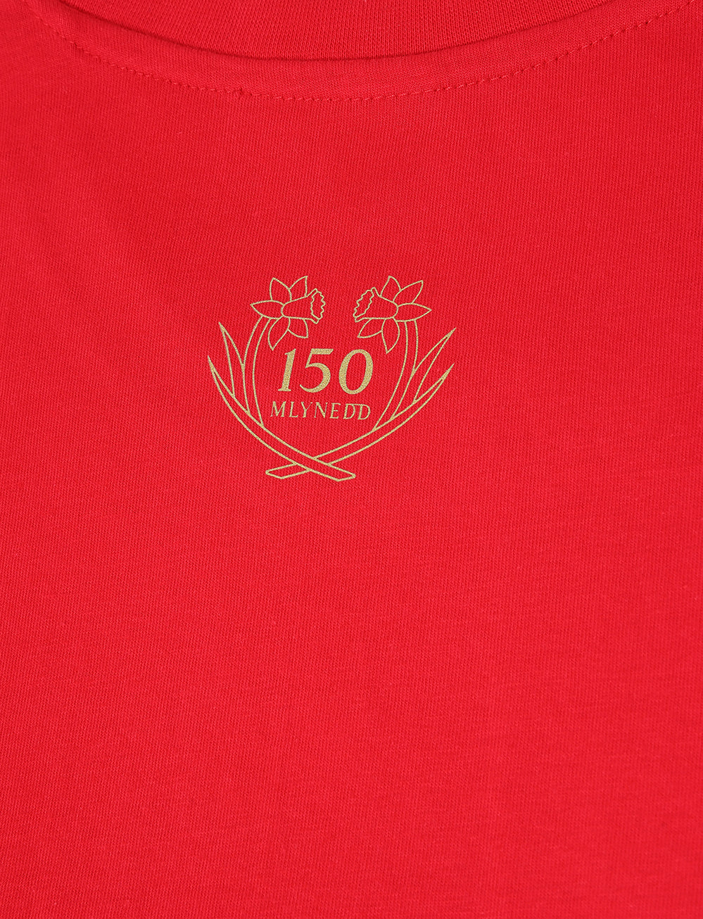 Official Team Wales 150th Anniversary Crest T-Shirt - Red - The World Football Store
