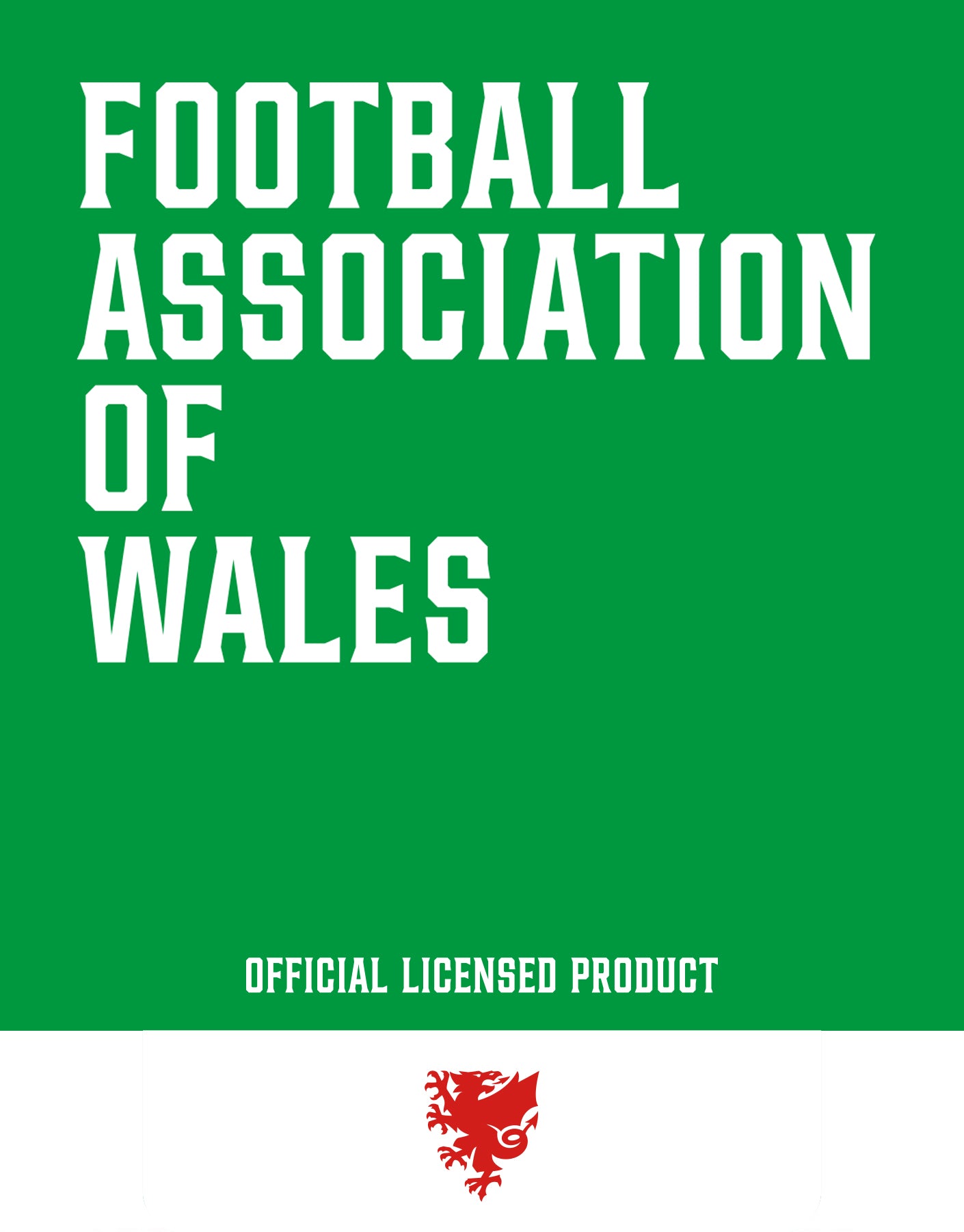 Official Team Wales Size 3 Football - The World Football Store