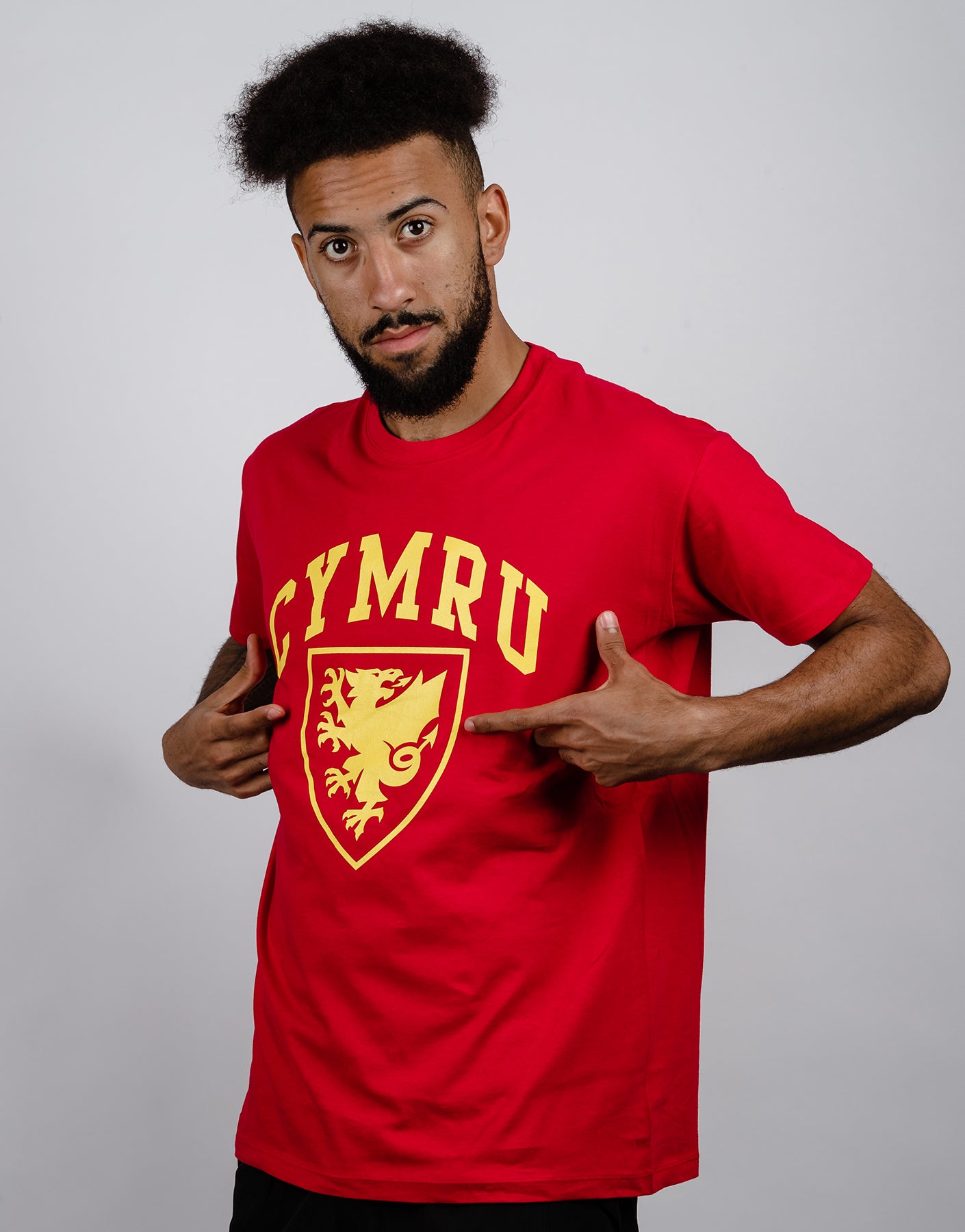 Official Team Wales Crest T-shirt - Red - The World Football Store