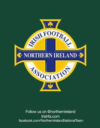 Official Team Northern Ireland Crest Graphic T-Shirt Kids - White