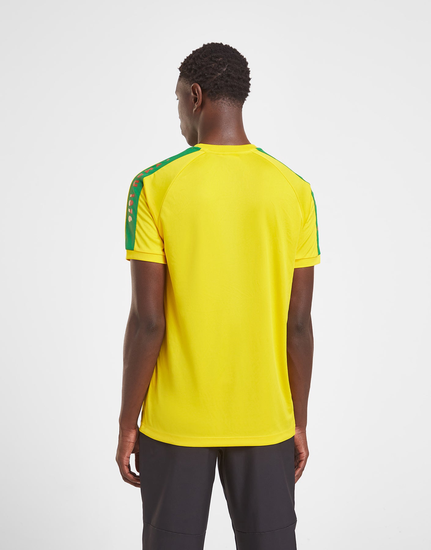 Official Team Wales Sleeve Print T-Shirt - Yellow - The World Football Store