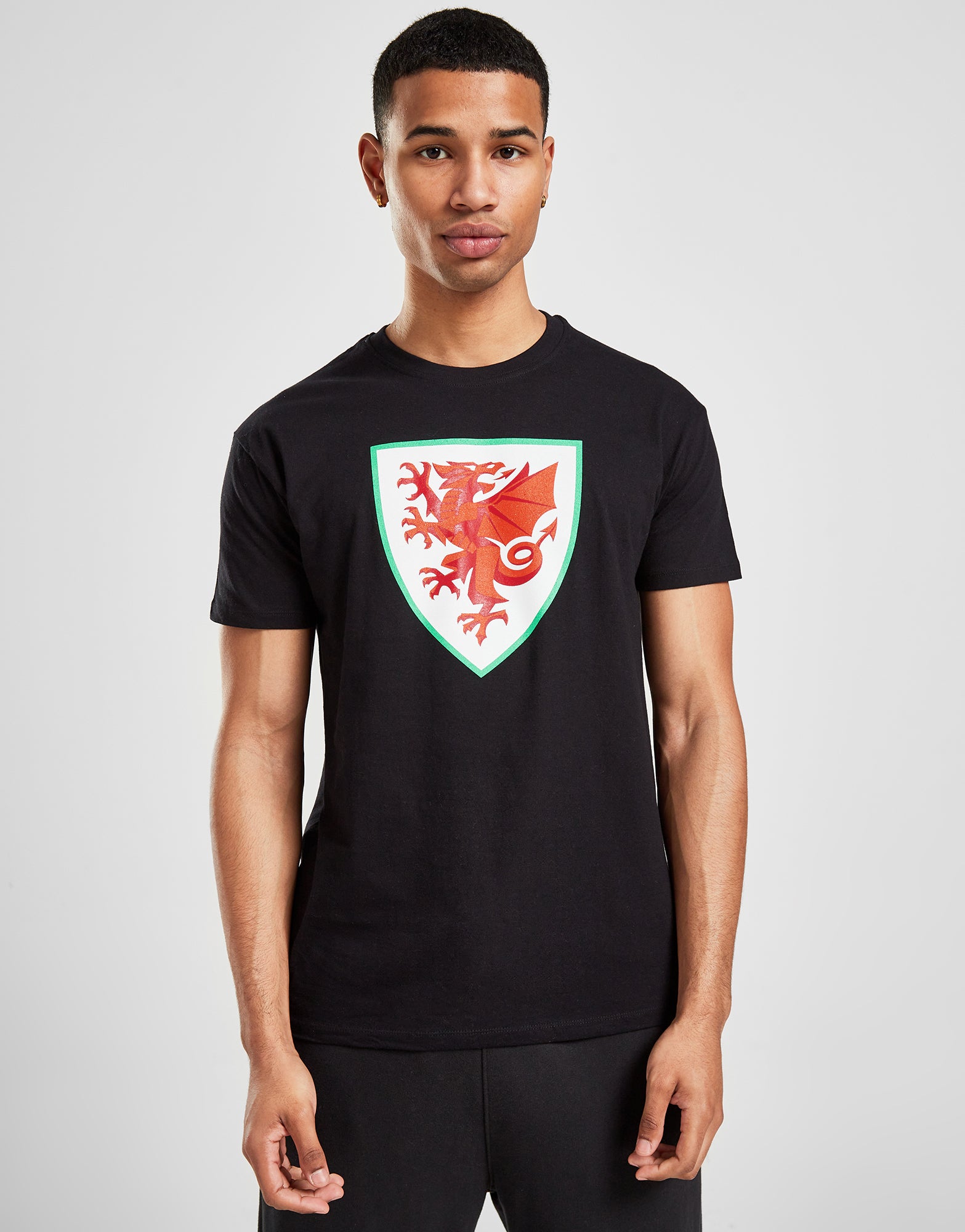Official Team Wales Crest T-Shirt - Black - The World Football Store