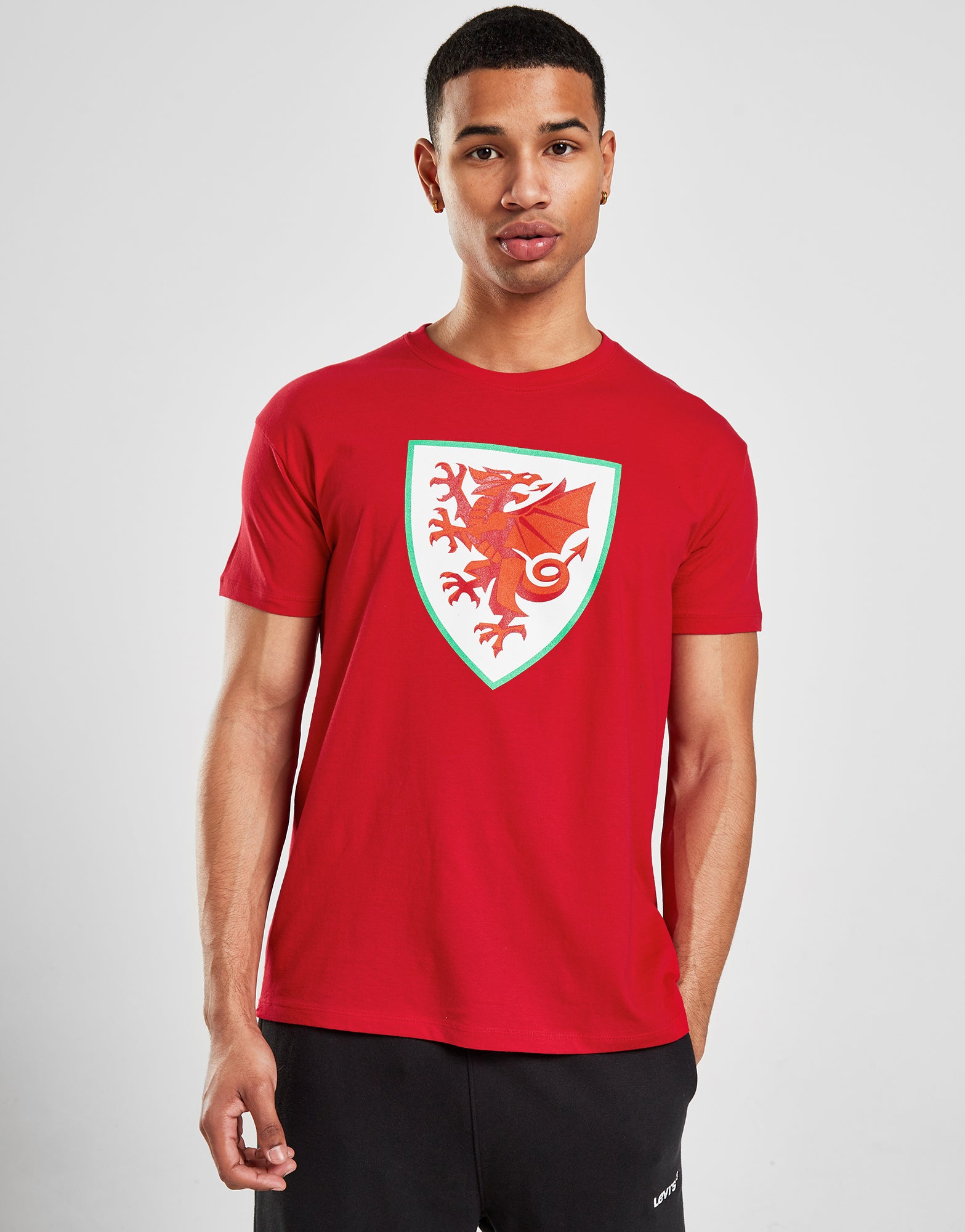 Official Team Wales Crest T-Shirt - Red - The World Football Store