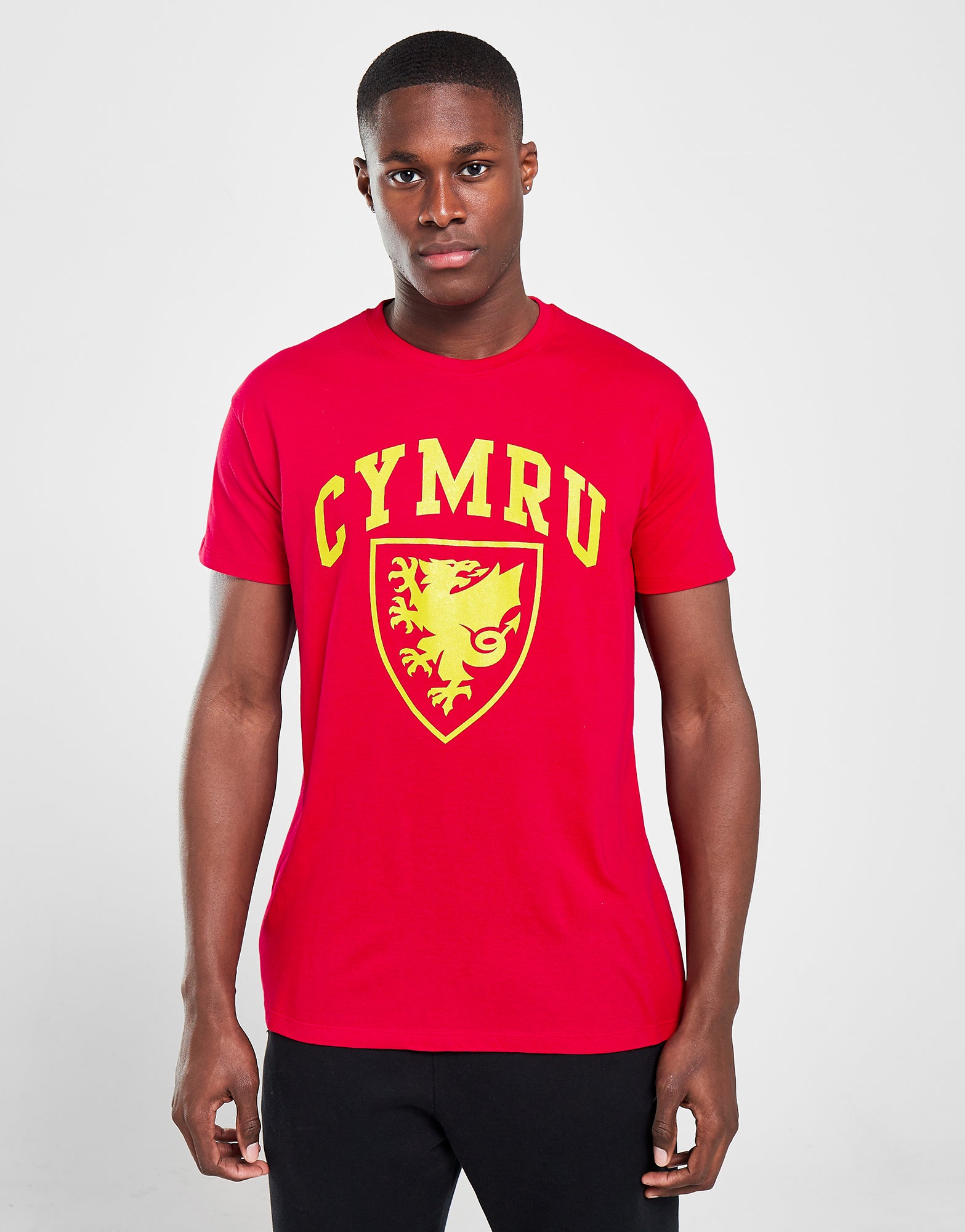 Official Team Wales Crest T-shirt - Red - The World Football Store