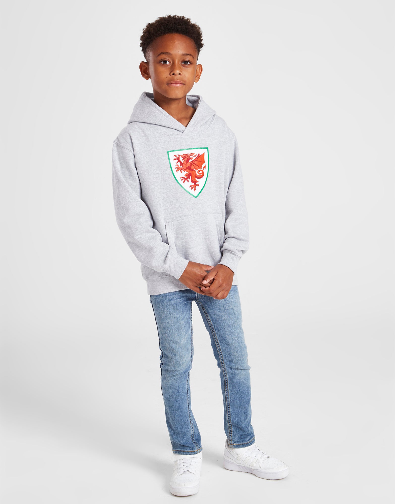 Official Team Wales Kids Hoodie Grey The World Football Store