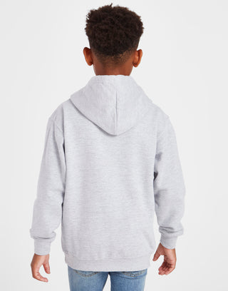 Official Team Wales Kids Hoodie Grey