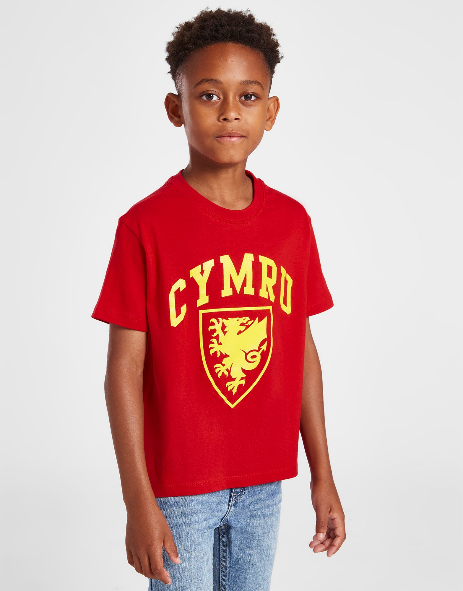 Official Team Wales Kids Crest T-shirt - Red - The World Football Store