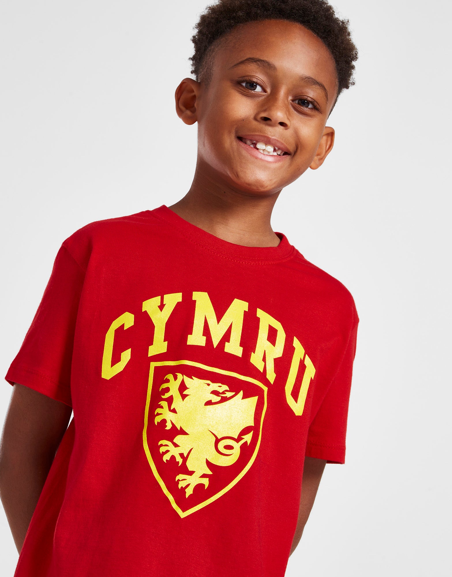 Official Team Wales Kids Crest T-shirt - Red - The World Football Store