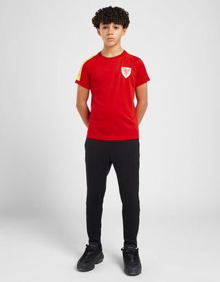 Official Team Wales Kids Sleeve Print T-Shirt Red